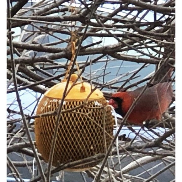 EnDarius-Set of 4 Squirrel Proof Bird Feeders for Outside - Picture 5 of 8